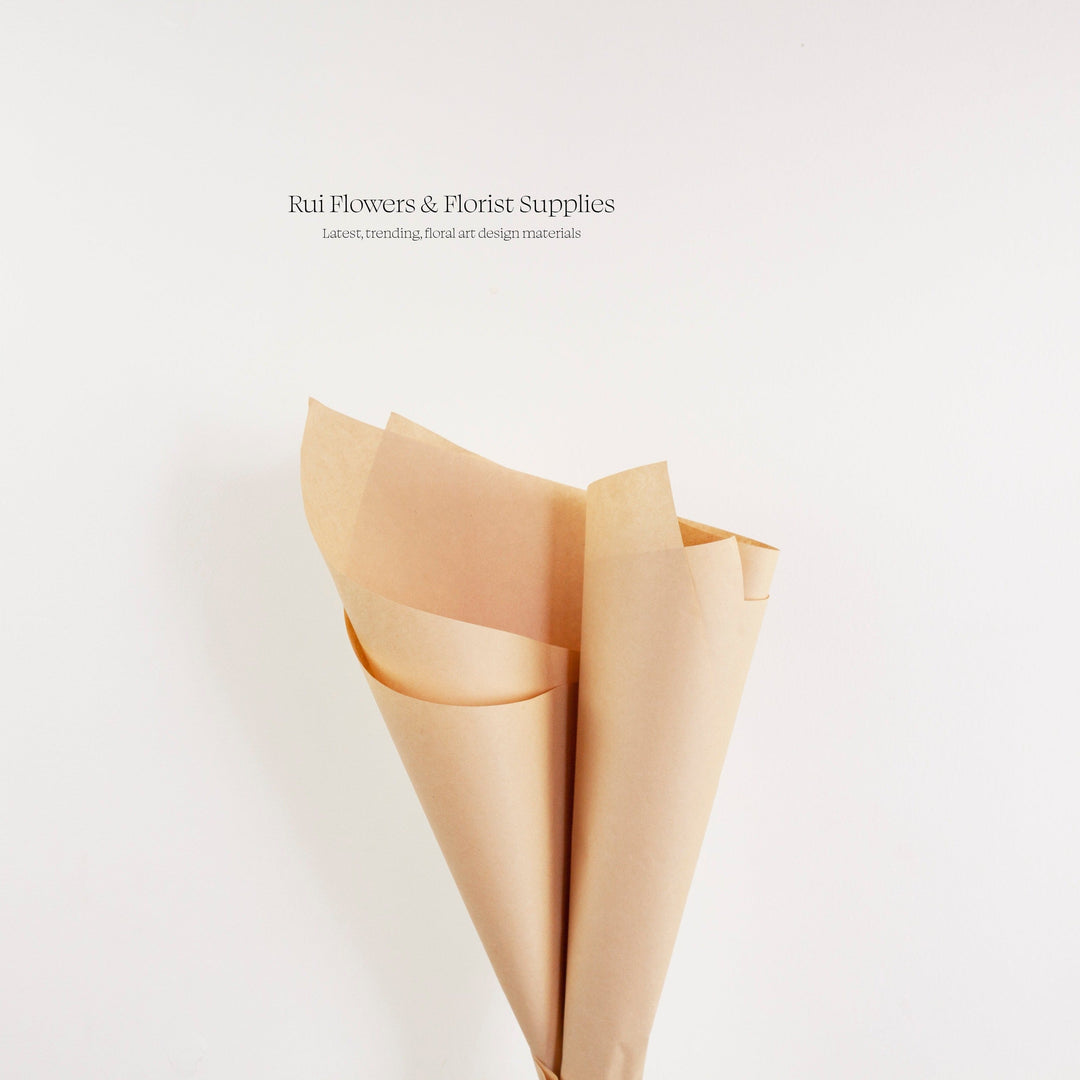 Kraft Paper Brown 70gsm Pack 250 (50x70cm)