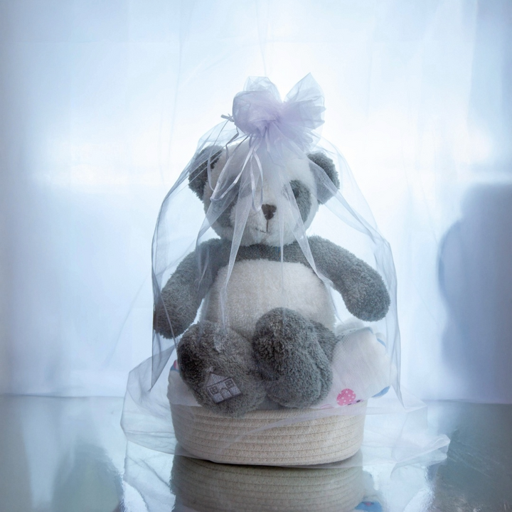 Manon Des Pres®️ Premium Baby Hamper Gift Basket Panda Fifi with 100% Cotton Blanket