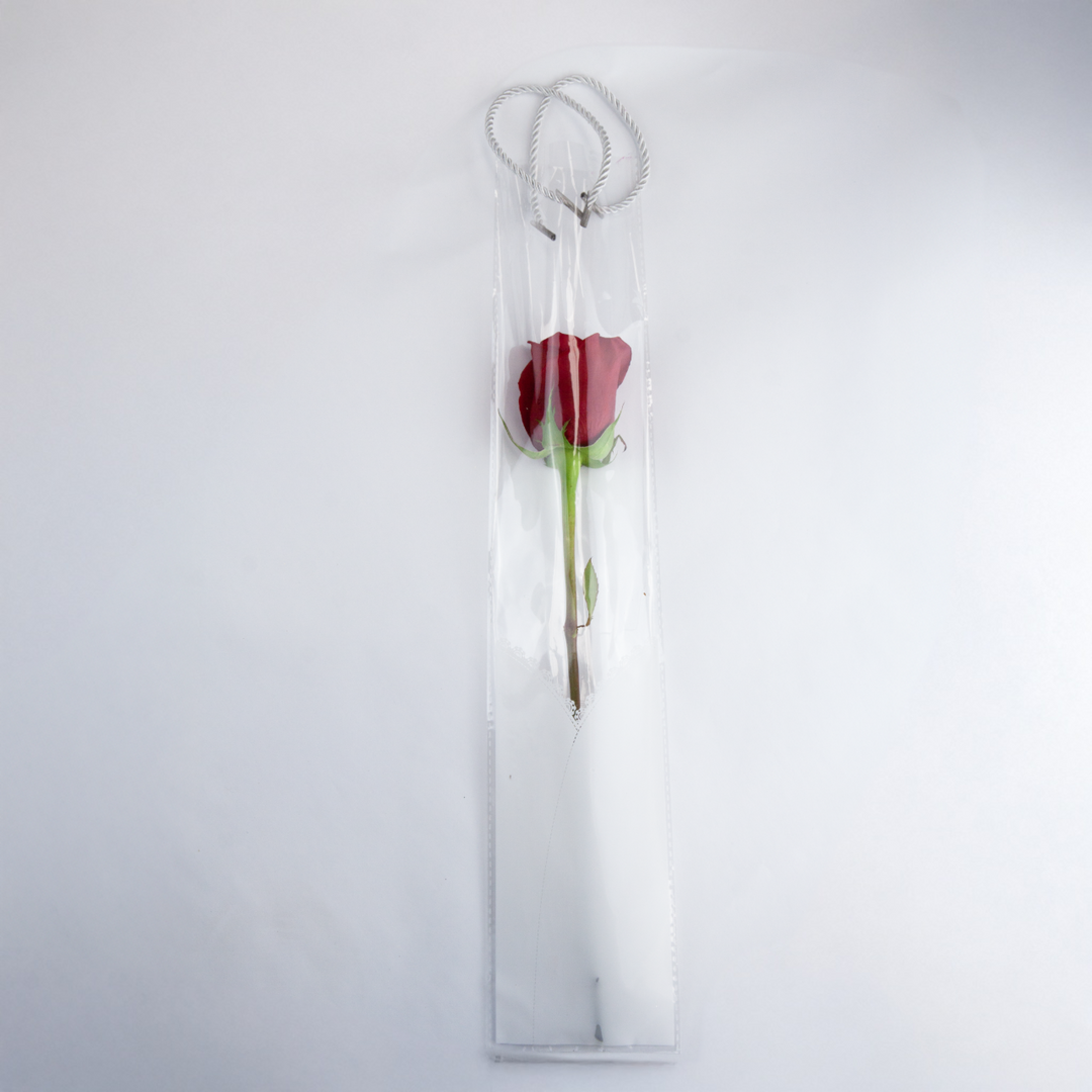 Cello Single Flower Carry Bag Wrap Lace Pack 10 (50x10cm)