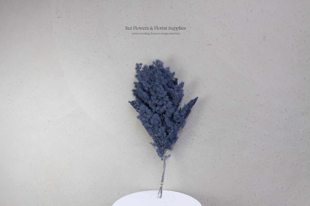 Preserved Ming Fern Grey Blue Bunch