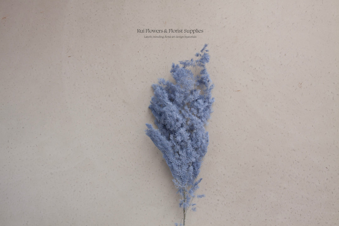 Preserved Ming Fern Grey Blue Bunch