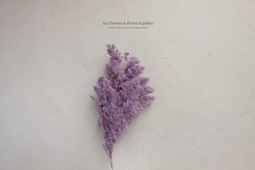 Preserved Ming Fern Dark Purple Bunch
