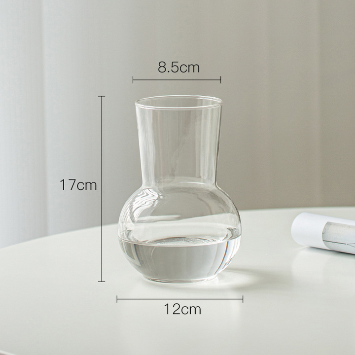 Modern Minimalist Glass Vase