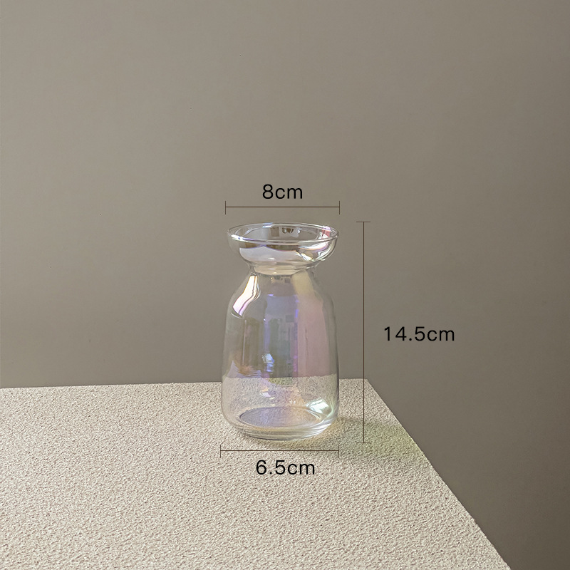 Modern Minimalist Glass Posy Jar (9x15cmH)