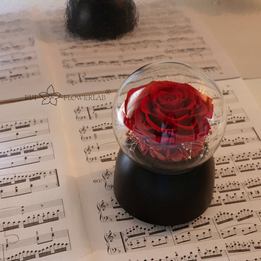 Everlasting Rose Music Box