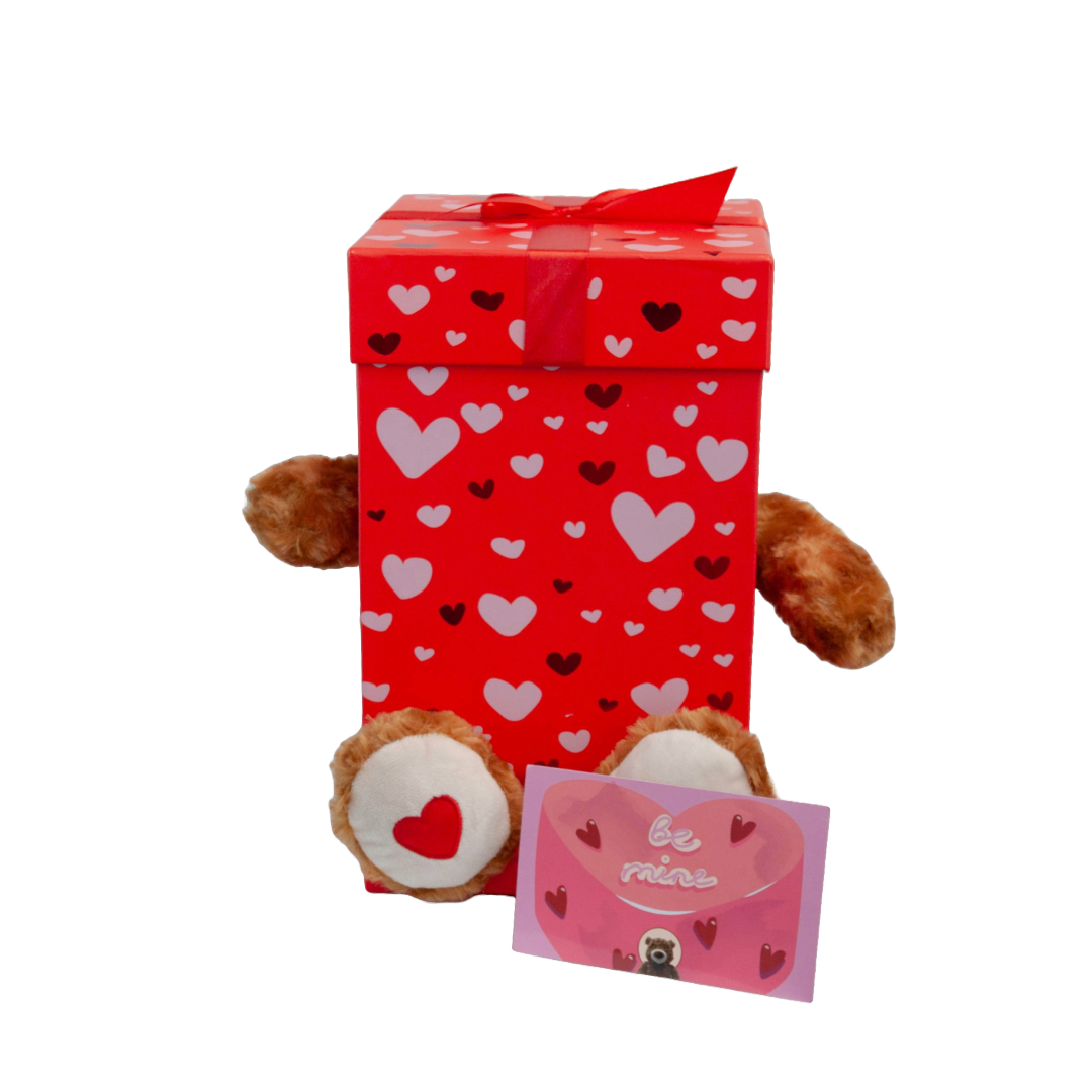 Valentines Day Mimi Bear Teddy Bear Plush Toy in Box 30cmH (card included)