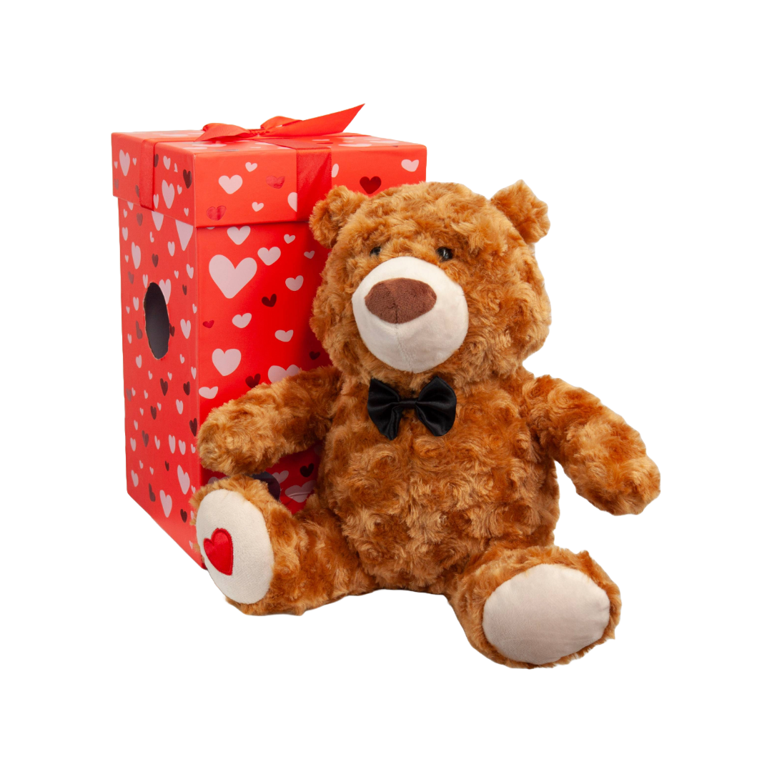 Valentines Day Mimi Bear Teddy Bear Plush Toy in Box 30cmH (card included)