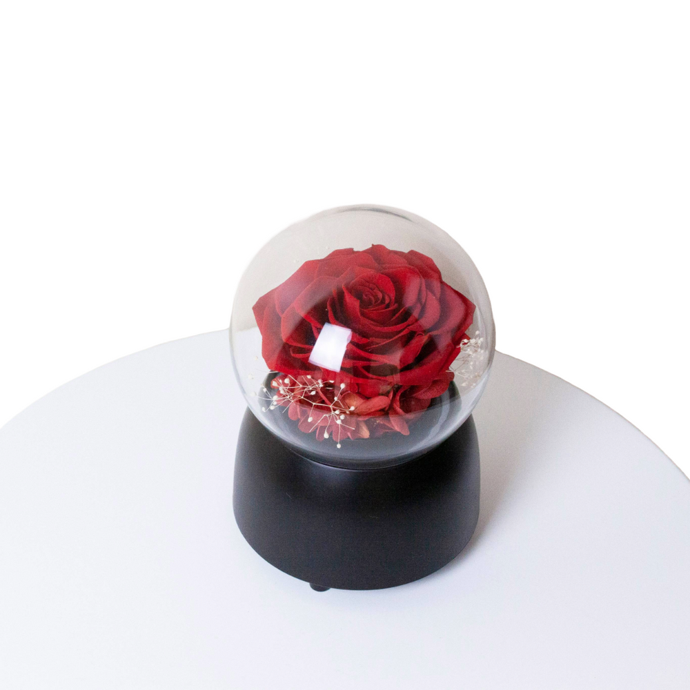 Everlasting Rose Music Box