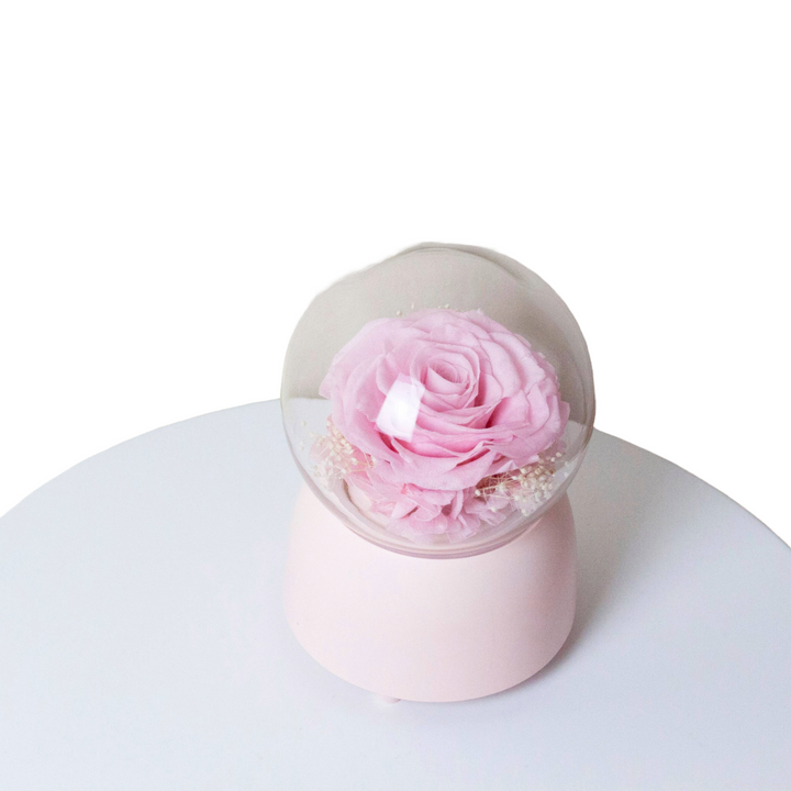 Everlasting Rose Music Box