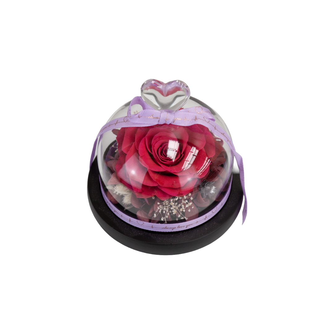 Everlasting Rose in Heart Dome