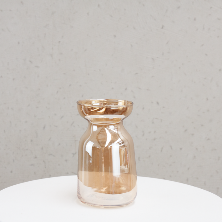 Modern Minimalist Glass Posy Jar (9x15cmH)